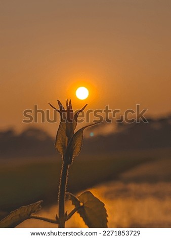 Sunset moments are a time for homilies, to be at peace with nature. When the body is relaxed, it can physically recharge and reawaken intuition. When the soul is relaxed, it can be refreshed. Royalty-Free Stock Photo #2271853729