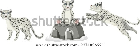 Snow Leopard Vector Collection illustration