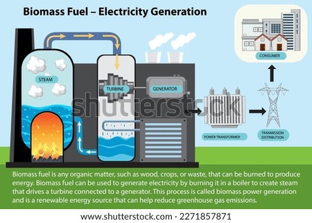 Biomass Fuel Electricity Generation Diagram illustration