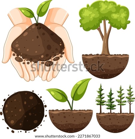 Set of plant and soil illustration