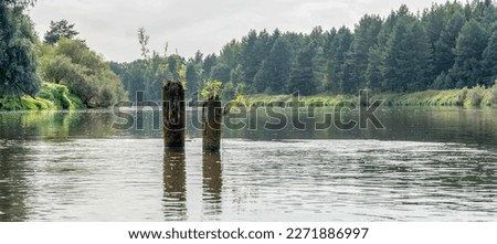 piles from the old bridge stick out of the water. High quality photo