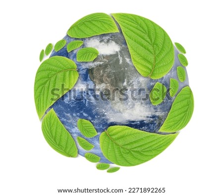 green leaf growing footprints, co2 symbol. Reduce CO2 emission concept.Clean and friendly environment without carbon dioxide emissions.  The elements of this image furnished by NASA. 