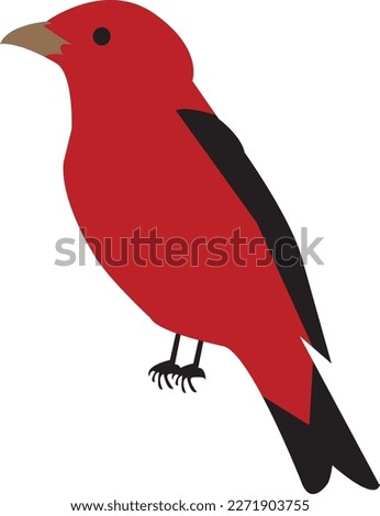a beautiful red bird vector artwork