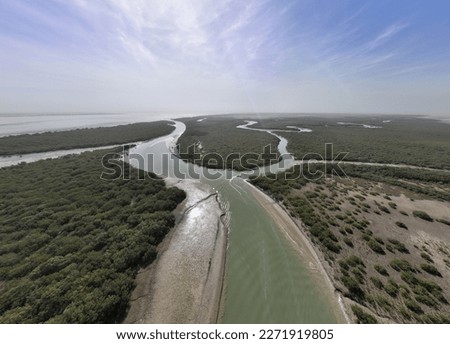 Pakistan Largest Mangroves Forest in Damb Sonmiani Balochistan Royalty-Free Stock Photo #2271919805