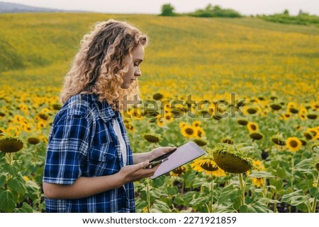 Side view of an agriculture woman farmer using tablet device and smart phone device checking on sunflower field. Smart farm. Agricultural technology and organic