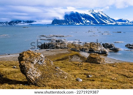 Landscape view of a bay in the Svalbard archipelago Royalty-Free Stock Photo #2271929387
