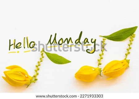 hello monday message card handwriting with yellow flowers ylang ylang arrangement music score flat lay postcard style on background white 