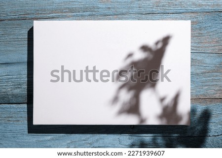 Canvas mockup, white blank picture hanging on blue wooden wall with dark shadows of dried flowers. Poster mock up, empty canvas with shadows of plant, front view