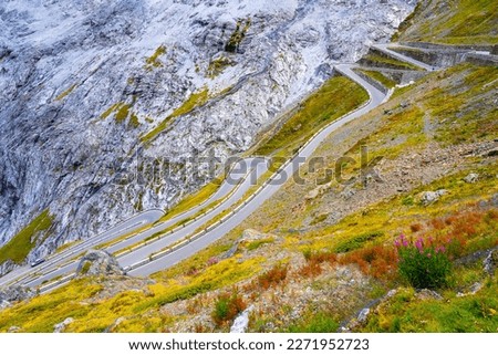 Serpentines of alpine mountain road to Stelvio Pass, Italian: Passo dello Stelvio, South Tyrol, Italian Alps, Italy Royalty-Free Stock Photo #2271952723