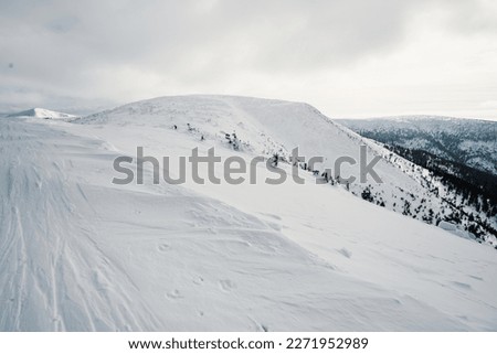 Alpine mountains landscape with white snow and blue sky. Sunset winter in nature. Frosty trees under warm sunlight. Krkonose Mountains National Park, Czech Republic ,Lucni bouda