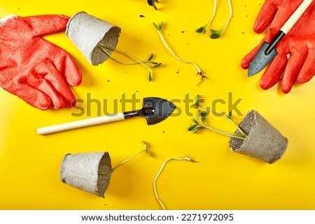 Flat lay peat pots, gloves, gardening tools and greens on yellow background, Spring garden works concept, Copy space for text, top view