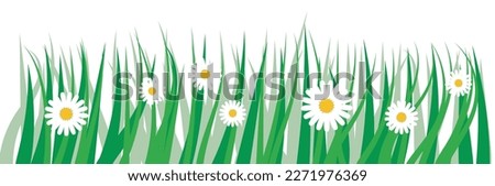 spring flower border with transparent border, grass, spring decoration,white flowers
