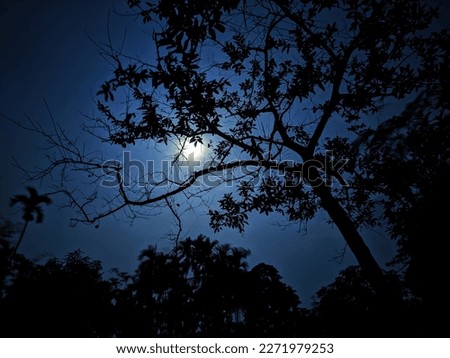 perfect night sky moon pictures.