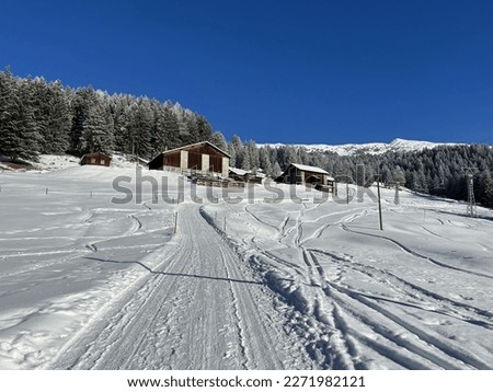 Excellently arranged and cleaned winter trails for walking, hiking, sports and recreation in the area of the tourist resorts of Valbella and Lenzerheide in the Swiss Alps - Switzerland (Schweiz)