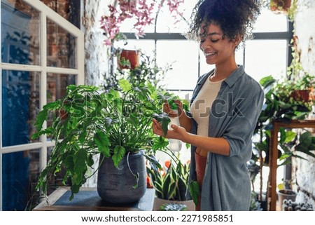 Happy plant lady. Young African American woman plant lover taking care of houseplant. Girl watering a potted plant with happy smile Royalty-Free Stock Photo #2271985851