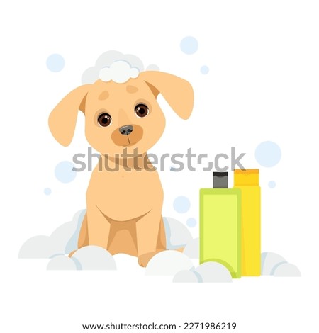 The dog sits in a soapy suds and jars of shampoo next