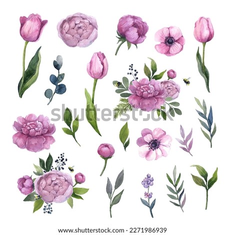 Watercolor pink flowers set on the white background Royalty-Free Stock Photo #2271986939