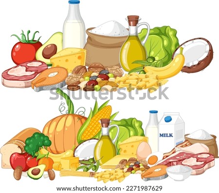 Main food groups macronutrients vector illustration