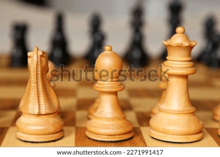 Close-up of chess pieces in place on the board.