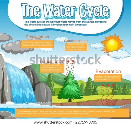 The water cycle diagram for science education illustration