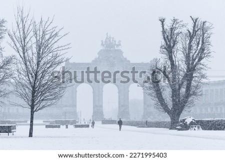 The Parc du Cinquantenaire in Brussels, Belgium under the snow  Royalty-Free Stock Photo #2271995403