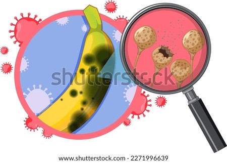 Inedible banana with mould illustration