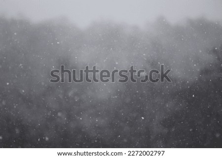 blured background of dark gloomy forest with dry trees in snowfall and blizzard Royalty-Free Stock Photo #2272002797