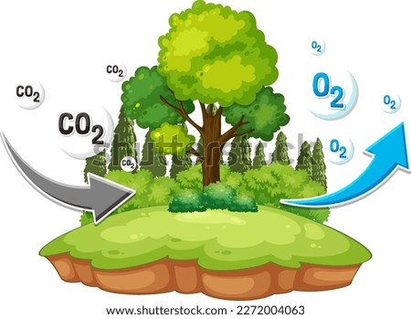 Oxygen Cycle Diagram for Science Education illustration Royalty-Free Stock Photo #2272004063