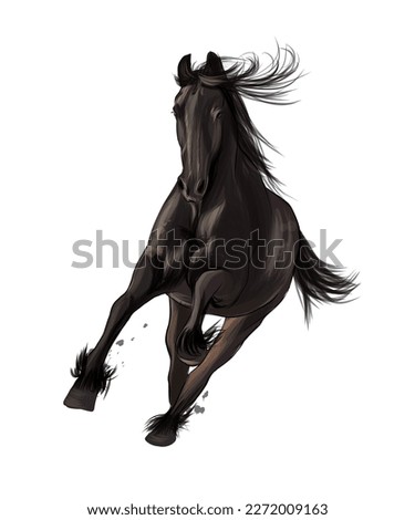Horse running at a gallop from multicolored paints. Splash of watercolor, colored drawing, realistic. Vector illustration of paints