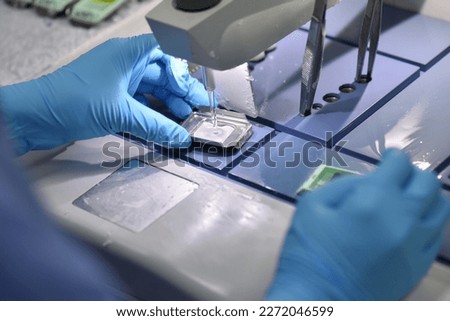A pathologist is preparing a pathological biopsy for laboratory diagnosis of pathology. Royalty-Free Stock Photo #2272046599