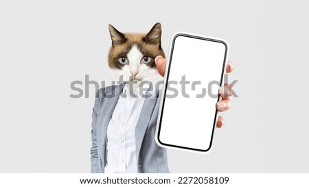 Businesswoman in stylish elegant suit with cute pussy cat head showing cell phone with white blank screen copy space for advertisement, mockup on studio background, collage