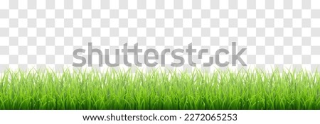 Green vector grass isolated on png background. Spring green grass, lawn. Summer nature decoration. Royalty-Free Stock Photo #2272065253
