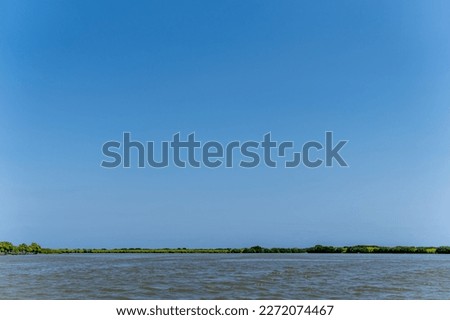 Distant shore visible with green grass, shrubs and plants visible from a distance with bright blue sky filling majority of the frame