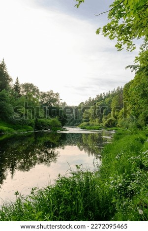 The river in the middle of the forest in the summer. Sunny summer day Royalty-Free Stock Photo #2272095465