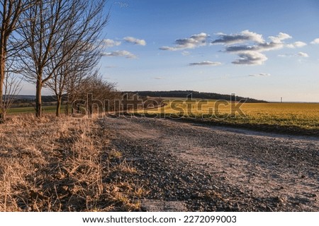 Landscape view across fields in early spring