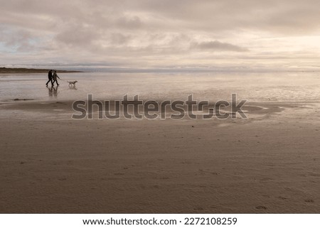 Evening on the beach of St. Peter-Ording in the Wadden Sea Nature Park, Schleswig-Holstein. Walk of a couple with dog.