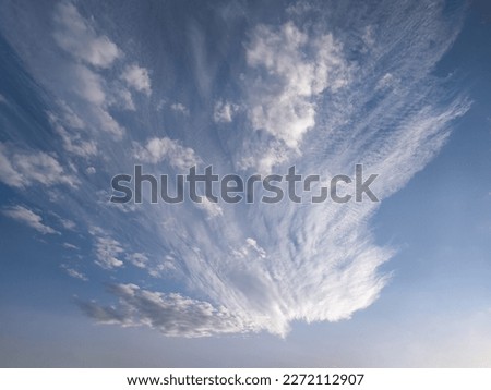 Blue sky with beautiful bird shaped clouds; background of cloudy sky