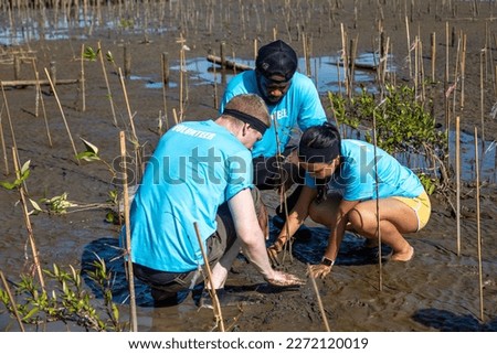 Team of young and diversity volunteer worker group enjoy charitable social work outdoor at mangrove planting NGO work for fighting climate change and global warming in coastline habitat project Royalty-Free Stock Photo #2272120019