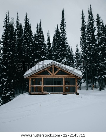 Winter Mountain Wooden Cabin in the Snowy Pine Tree Forest in Jackson Hole, Wyoming 