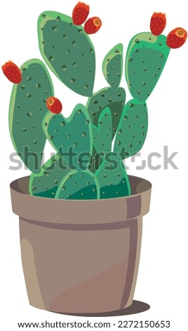 A Prickly Pear with fruits in a pot. Royalty-Free Stock Photo #2272150653