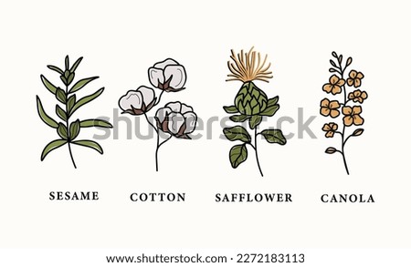 Collection of line art sesame, safflower, canola, cotton Royalty-Free Stock Photo #2272183113