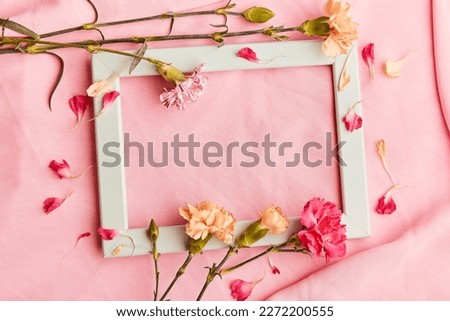 Atmospheric turquoise empty interior pink wall layout among asters arrangement with copy space. Mothers Day, Womens Day, invitation card, wishing card concept.