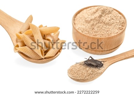 Crickets flour pasta and crickets powder for eating in wooden bowl, isolated on white background. Close up. Source of protein. Organic food of the future. Entomophagy concept. Selective Focus