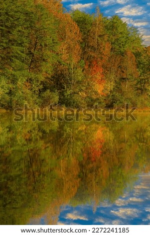 Shorts Lake is surrounded by hardwood trees showing fall color, in Crowders Mountain State park, North Royalty-Free Stock Photo #2272241185