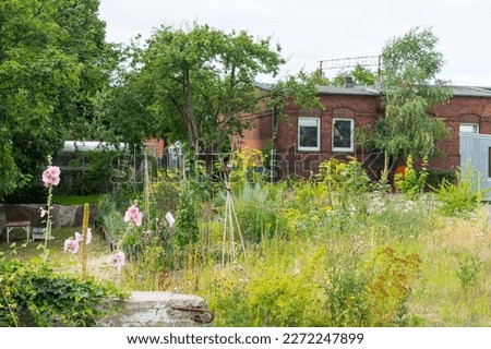 A rustic, picturesque ingrown allotment, vegetable and herb garden on an old abandoned industrial site in Hamburg. Cosy seating area under trees, red brick house, hollyhocks and wild flower meadow. Royalty-Free Stock Photo #2272247899