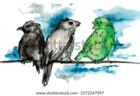 Birds on a branch, black and green, parakeet, sky, blackbird. Watercolor sketch illustration. Vector.