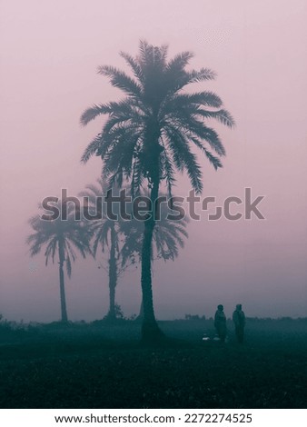 A picture of a village in Bangladesh in the early morning, in heavy fog, in a winter.