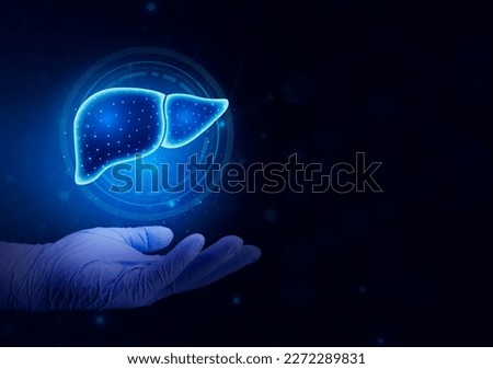 Hand of health personnel showing the liver.Isolated. Hepatologist model of human organ. Examination for the detection of gastroenterological abnormalities. Digital and technological blue background Royalty-Free Stock Photo #2272289831
