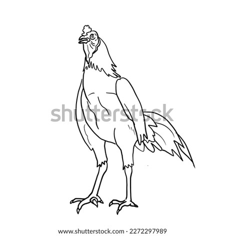 The black lines of a cockfighter standing gracefully.vector illustration isolated on white background