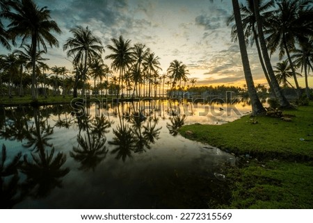Silhouette coconut palm trees on lake at sunset